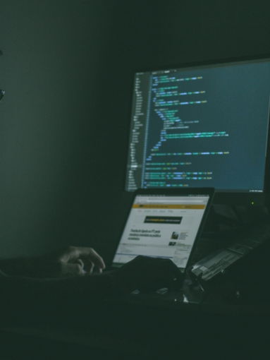 person using laptop computers